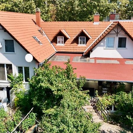Goldschmiedt Vendégház Palkove Exterior foto