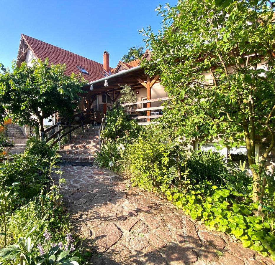Goldschmiedt Vendégház Palkove Exterior foto